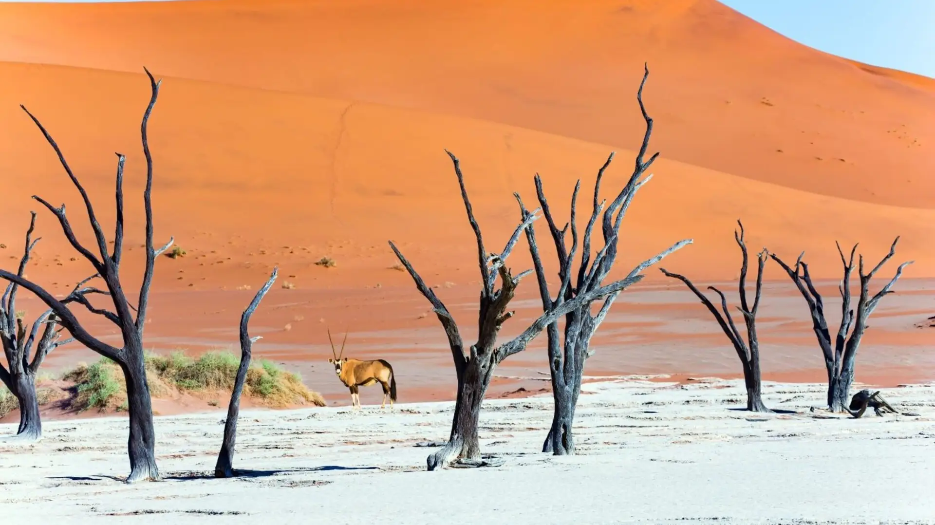 Deserto del Namib, Namibia