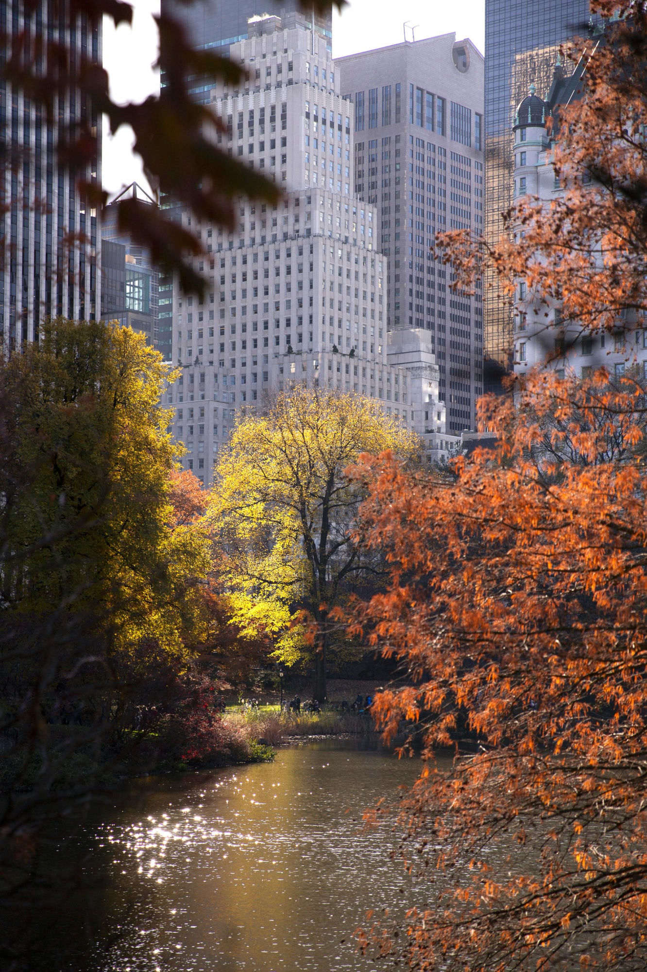 New York · scorcio del viaggio