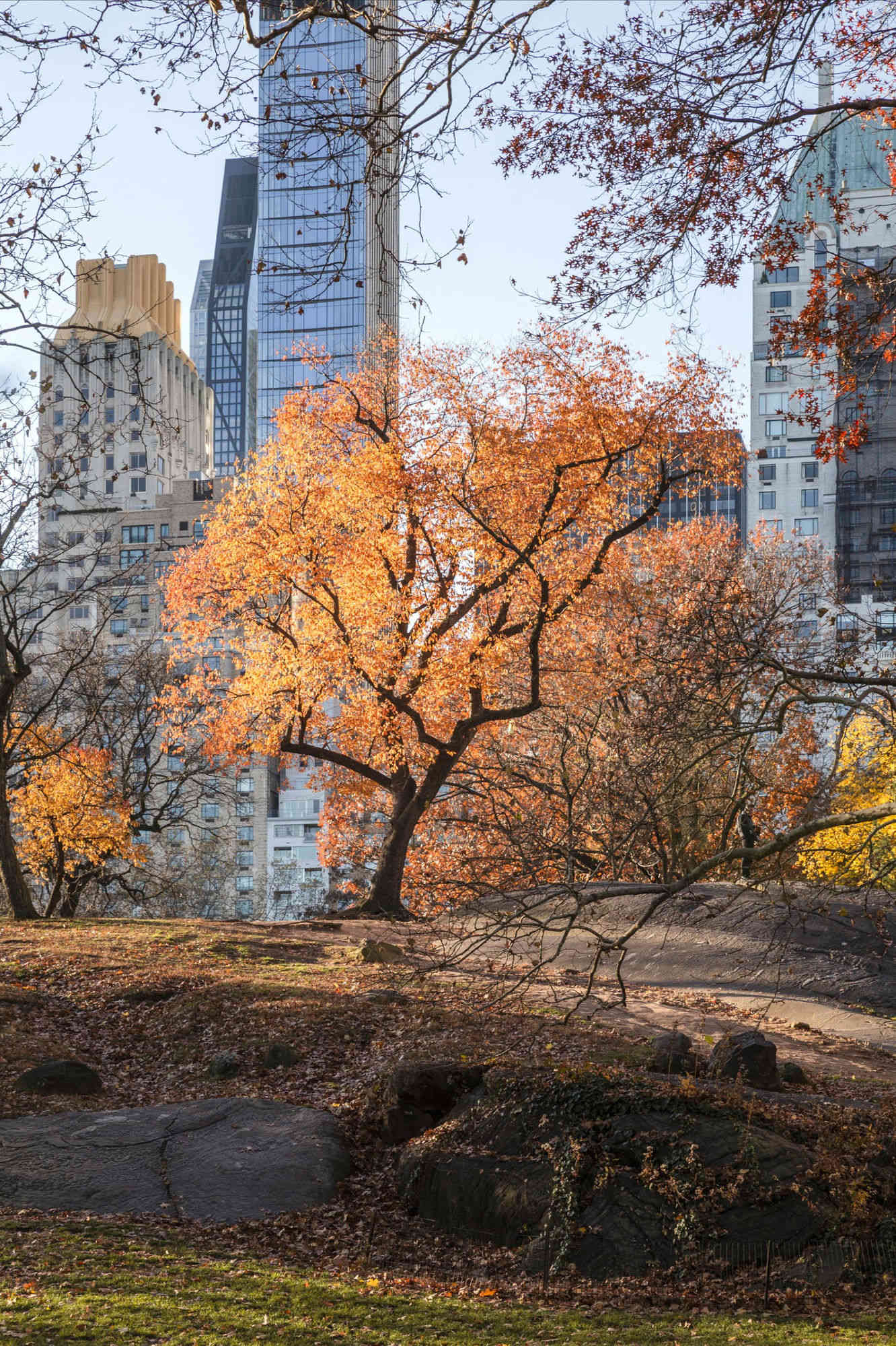 New York · scorcio del viaggio
